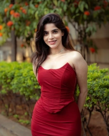 Delhi Escort Services